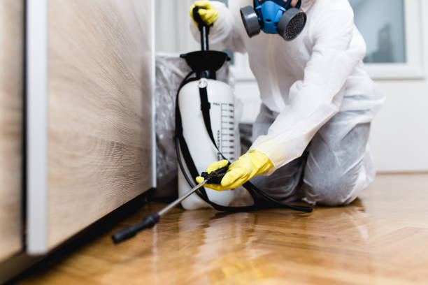 Best Pest Inspection Near Me  in Alexandria, LA