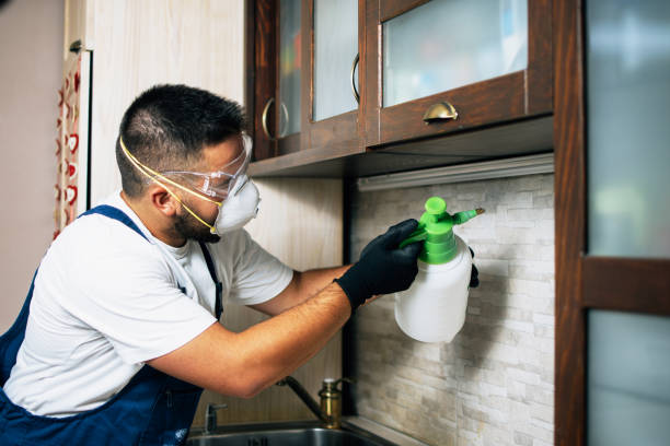 Best Wildlife Control Services  in Alexandria, LA