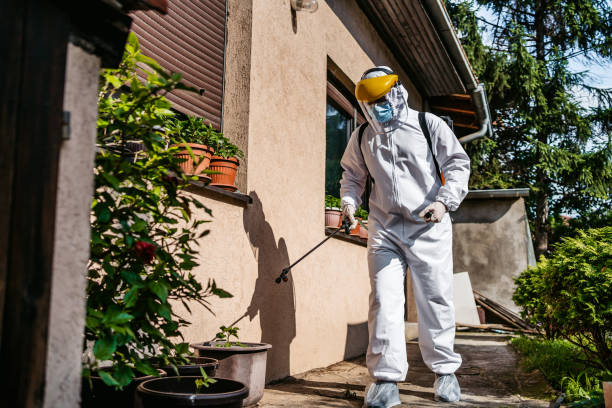Reliable Alexandria, LA Pest Control Solutions