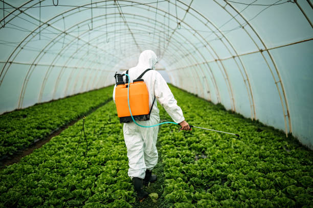 Best Pest Control Near Me  in Alexandria, LA