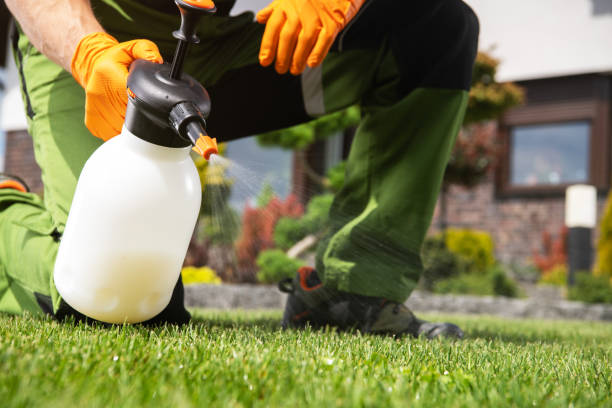 Pest Prevention Services in Alexandria, LA