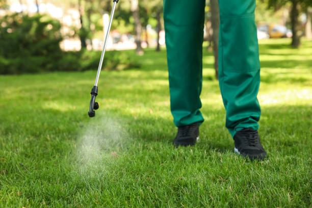 Best Affordable Pest Control Services  in Alexandria, LA