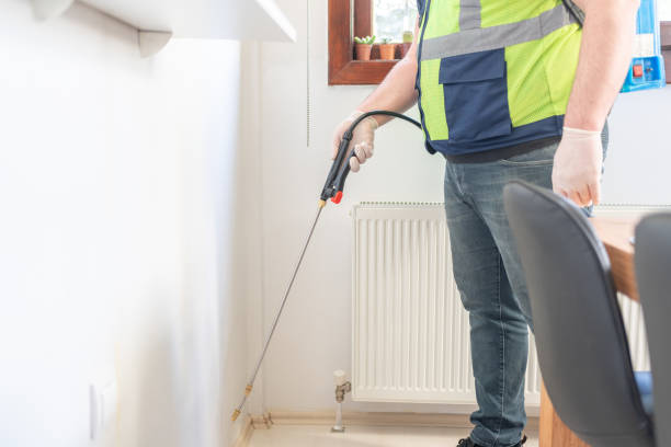 Best Affordable Pest Control Services  in Alexandria, LA