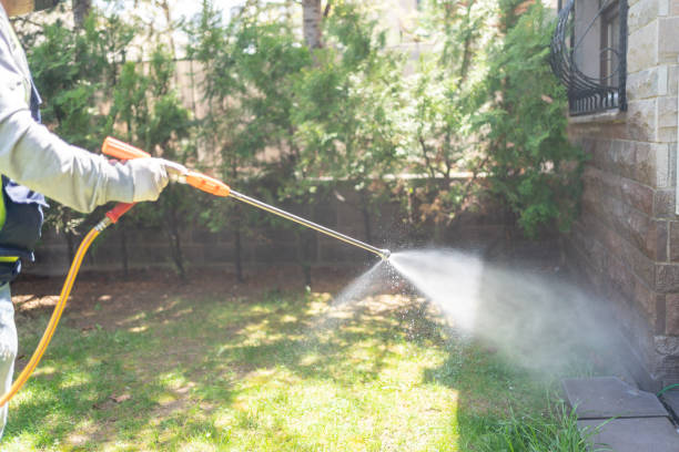 Best Local Pest Control Services  in Alexandria, LA
