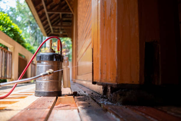 Best Wasp Removal Services  in Alexandria, LA