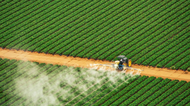 Best Pest Removal Services  in Alexandria, LA