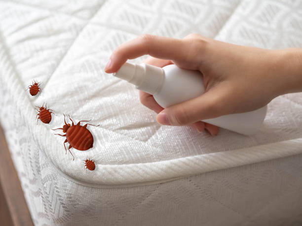 Best Emergency Pest Control  in Alexandria, LA