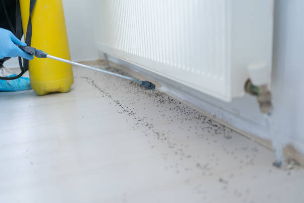 Best Residential Pest Control  in Alexandria, LA